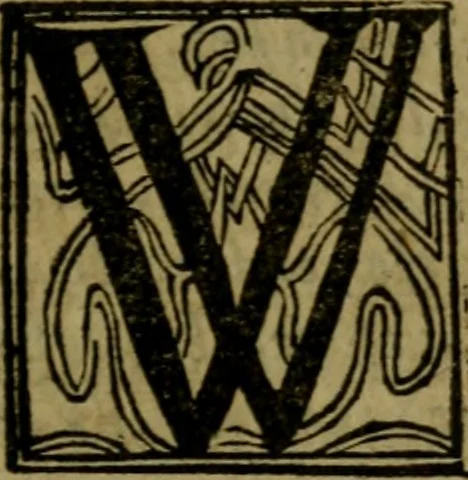 An illustration from Een devote maniere om gheestelyck pelgrimagie te trecken tot den heylighen lande als te Jherusalem, Bethleem, ter Jordanen, etc. : met die rechte gheleghentheyt der heyligher plaetsen, so bescheelijck beschreuen al ost mense voor ooghen saghe, 1563, leaf 10