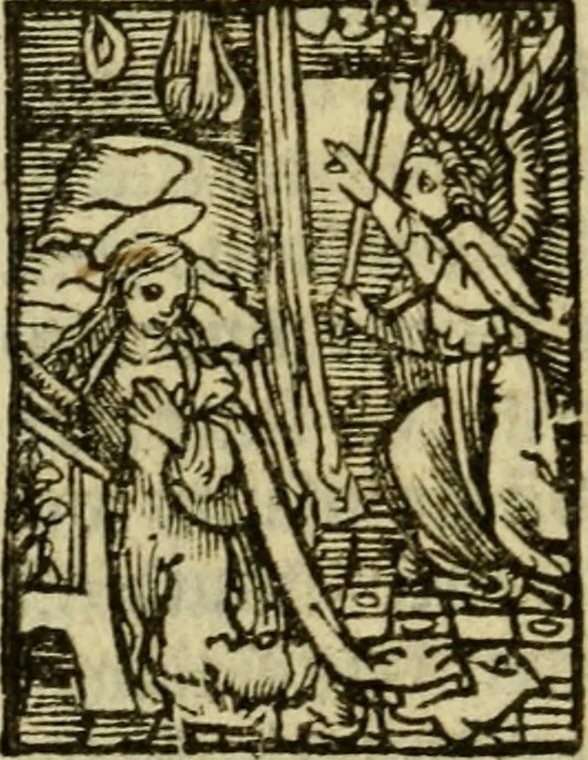 An illustration from Een devote maniere om gheestelyck pelgrimagie te trecken tot den heylighen lande als te Jherusalem, Bethleem, ter Jordanen, etc. : met die rechte gheleghentheyt der heyligher plaetsen, so bescheelijck beschreuen al ost mense voor ooghen saghe, 1563, leaf 161