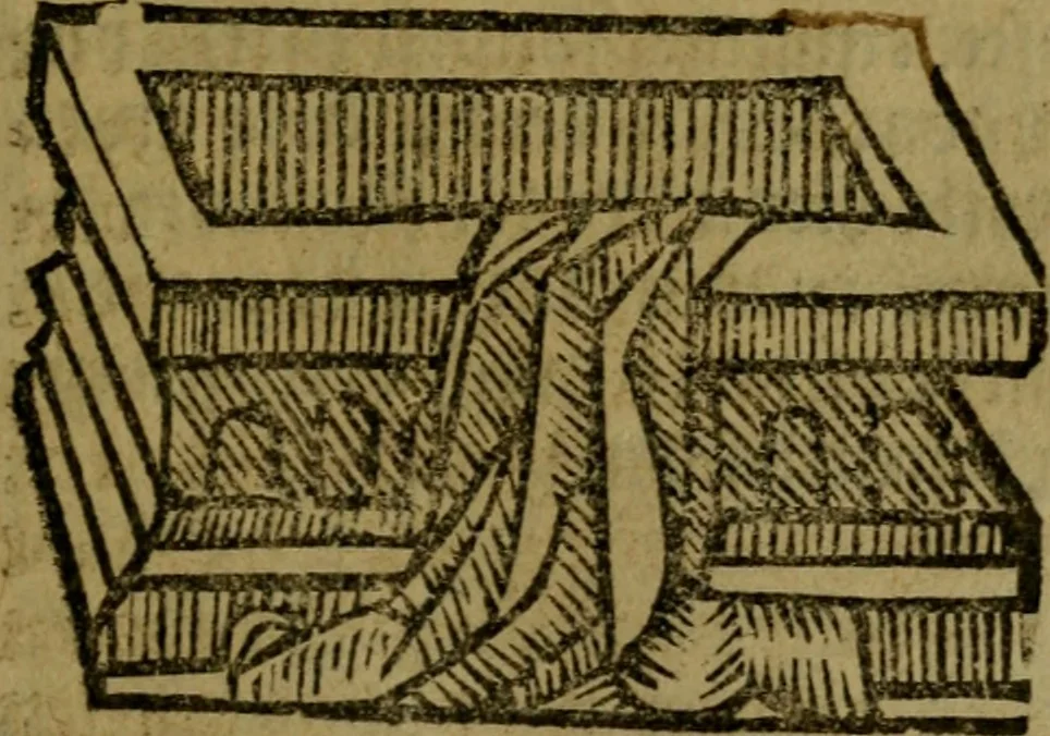 An illustration from Een devote maniere om gheestelyck pelgrimagie te trecken tot den heylighen lande als te Jherusalem, Bethleem, ter Jordanen, etc. : met die rechte gheleghentheyt der heyligher plaetsen, so bescheelijck beschreuen al ost mense voor ooghen saghe, 1563, leaf 260
