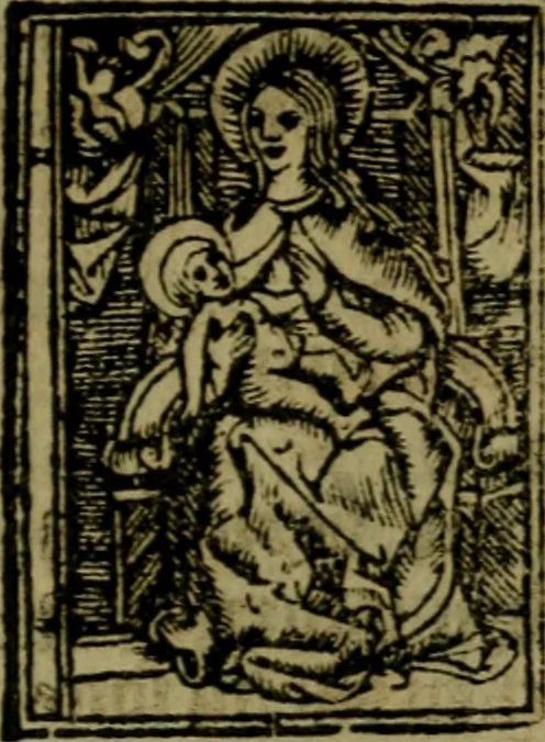 An illustration from Een devote maniere om gheestelyck pelgrimagie te trecken tot den heylighen lande als te Jherusalem, Bethleem, ter Jordanen, etc. : met die rechte gheleghentheyt der heyligher plaetsen, so bescheelijck beschreuen al ost mense voor ooghen saghe, 1563, leaf 324