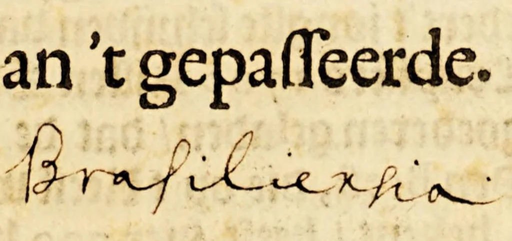 An illustration from Eenige advijsen ende verklaringhen uyt Brasilien. In dato den 19. Mey 1648. Van't gepasseerde, 1648, leaf 9