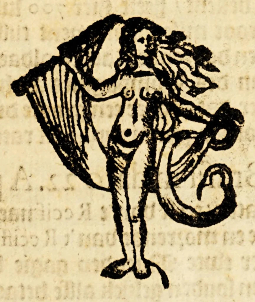 An illustration from Eenige advijsen ende verklaringhen uyt Brasilien. In dato den 19. Mey 1648. Van't gepasseerde, 1648, leaf 9