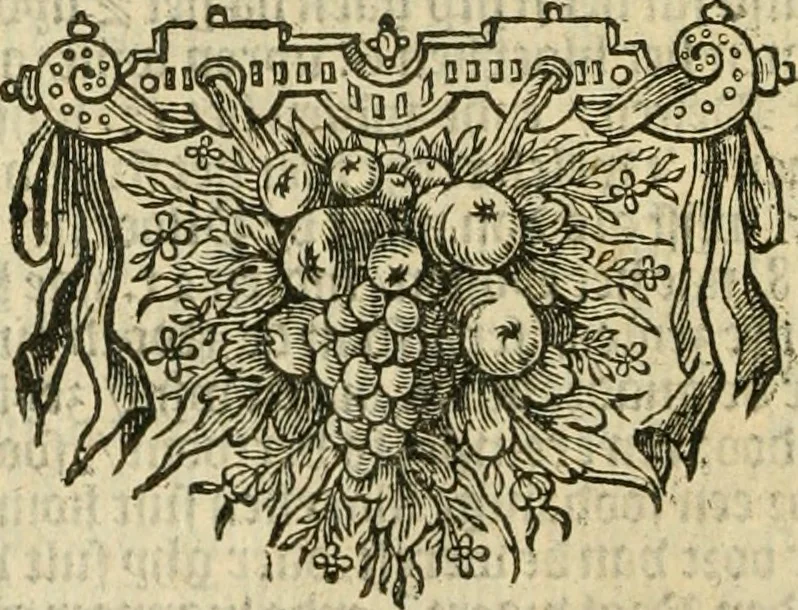 An illustration from Eerste[-derde] schip-vaert der Hollanderen nae de Oost-Indien door de Waygats, by - Noorden Noorweghen, Moscovien ende Tartarien: zijnde verrijckt met een beschryvinge veeler aengrenfende landen, noyt in eenige voorige, 1648, leaf 119