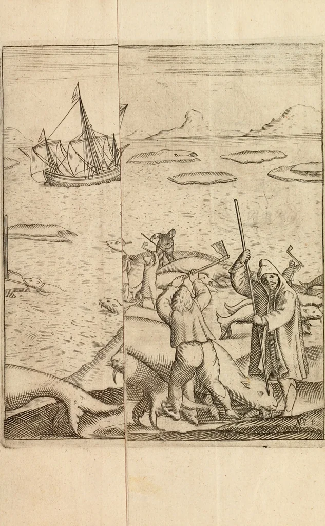 An illustration from Eerste[-derde] schip-vaert der Hollanderen nae de Oost-Indien door de Waygats, by - Noorden Noorweghen, Moscovien ende Tartarien: zijnde verrijckt met een beschryvinge veeler aengrenfende landen, noyt in eenige voorige, 1648, leaf 16