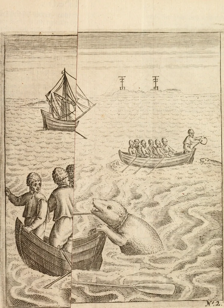 An illustration from Eerste[-derde] schip-vaert der Hollanderen nae de Oost-Indien door de Waygats, by - Noorden Noorweghen, Moscovien ende Tartarien: zijnde verrijckt met een beschryvinge veeler aengrenfende landen, noyt in eenige voorige, 1648, leaf 18