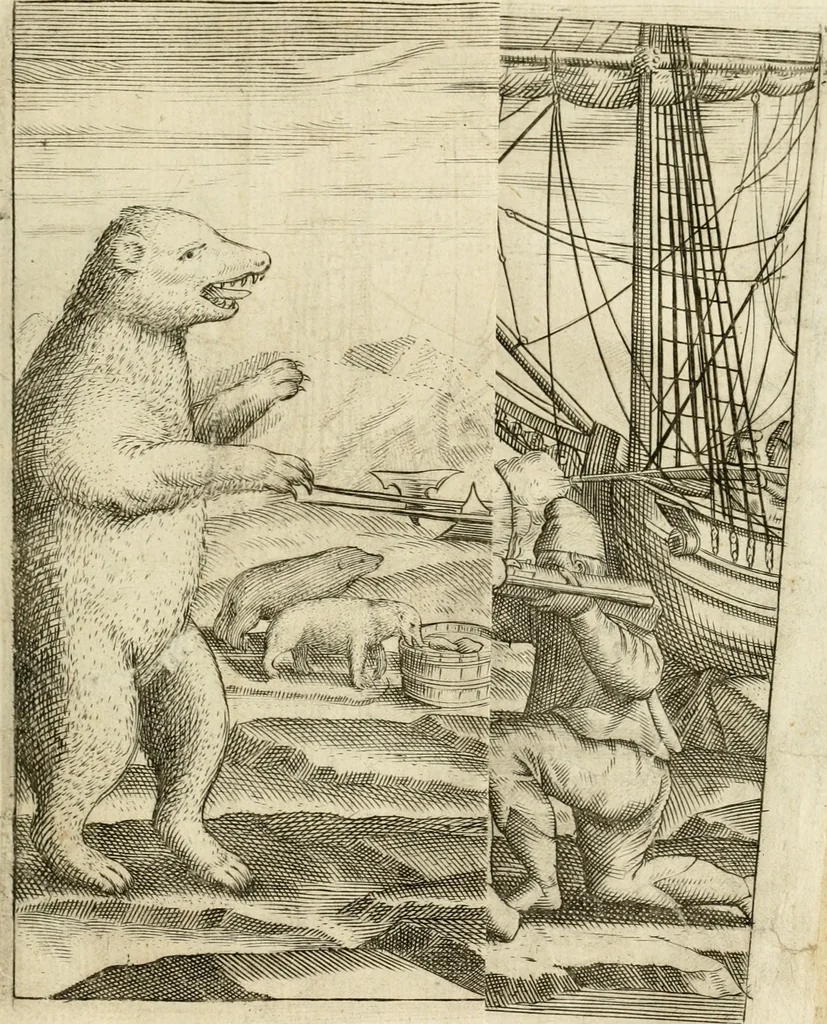 An illustration from Eerste[-derde] schip-vaert der Hollanderen nae de Oost-Indien door de Waygats, by - Noorden Noorweghen, Moscovien ende Tartarien: zijnde verrijckt met een beschryvinge veeler aengrenfende landen, noyt in eenige voorige, 1648, leaf 44