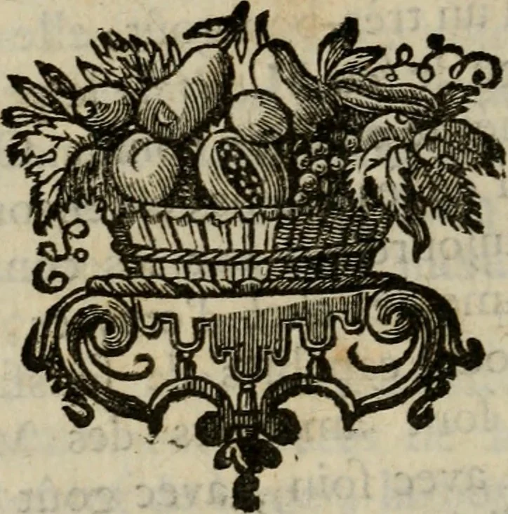 An illustration from Catalogue raisonné des differens effets curieux & rares contenus dans le cabinet de feu M. le chevalier de La Roque : ce cabinet renferme une collection considerable de tableaux, de desseins, & d'estampes des meilleurs maîtres; de figures de bronze & de marbre; de porcelaines anciennes ... de pierres ... de coquilles, & enfin de nombre d'autres morceaux interressans de divers genres, 1745, leaf 135