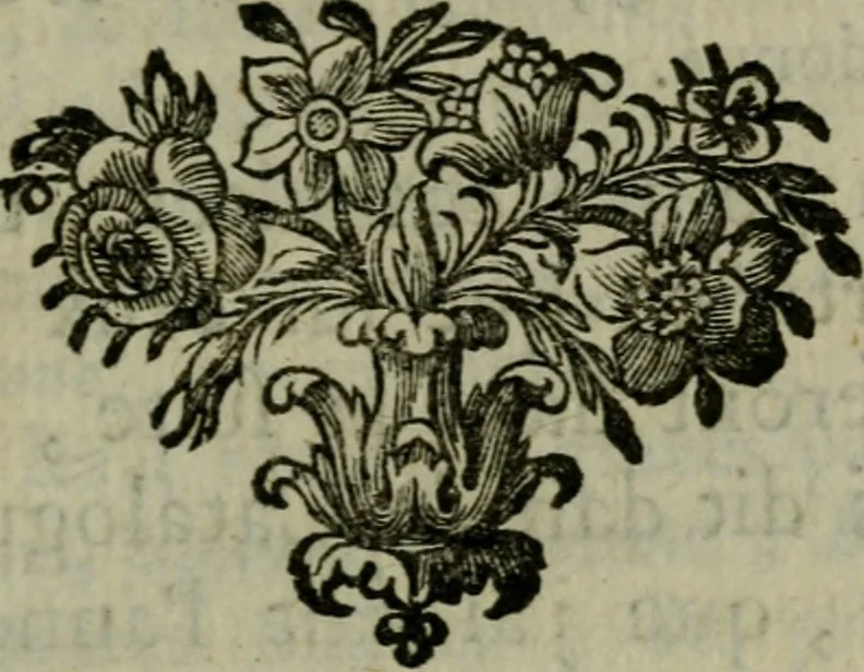 An illustration from Catalogue raisonné des differens effets curieux & rares contenus dans le cabinet de feu M. le chevalier de La Roque : ce cabinet renferme une collection considerable de tableaux, de desseins, & d'estampes des meilleurs maîtres; de figures de bronze & de marbre; de porcelaines anciennes ... de pierres ... de coquilles, & enfin de nombre d'autres morceaux interressans de divers genres, 1745, leaf 202
