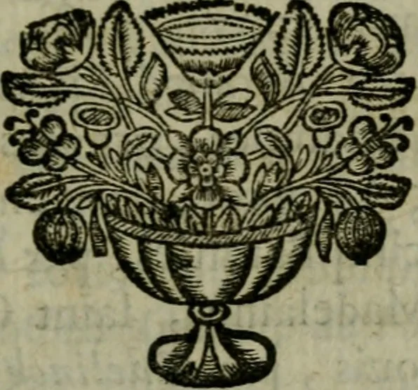 An illustration from Catalogue raisonné des differens effets curieux & rares contenus dans le cabinet de feu M. le chevalier de La Roque : ce cabinet renferme une collection considerable de tableaux, de desseins, & d'estampes des meilleurs maîtres; de figures de bronze & de marbre; de porcelaines anciennes ... de pierres ... de coquilles, & enfin de nombre d'autres morceaux interressans de divers genres, 1745, leaf 206