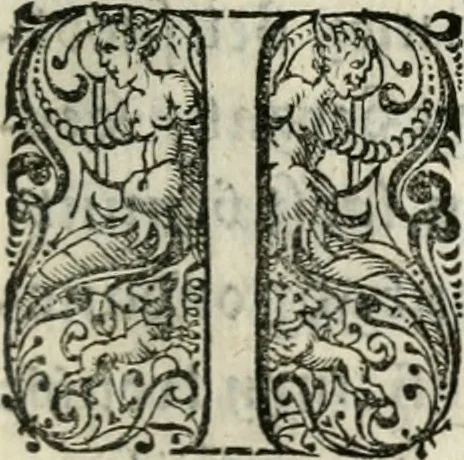 An illustration from Eglentiers poëtens borst-weringh, 1619, leaf 164