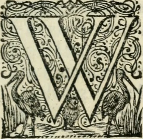 An illustration from Eglentiers poëtens borst-weringh, 1619, leaf 304