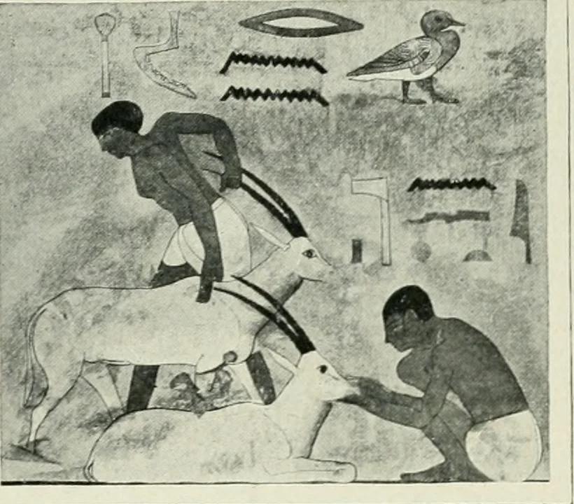 An illustration from Égypte, 1911, leaf 123