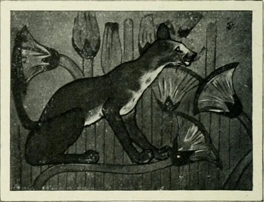 An illustration from Égypte, 1911, leaf 123
