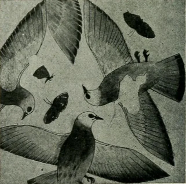 An illustration from Égypte, 1911, leaf 163