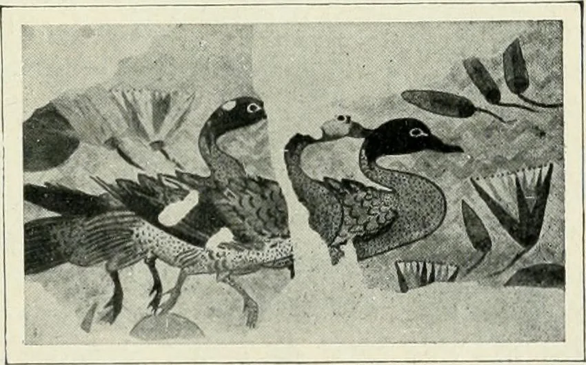 An illustration from Égypte, 1911, leaf 164