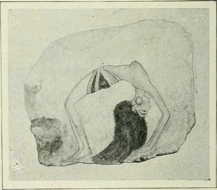 An illustration from Égypte, 1911, leaf 169