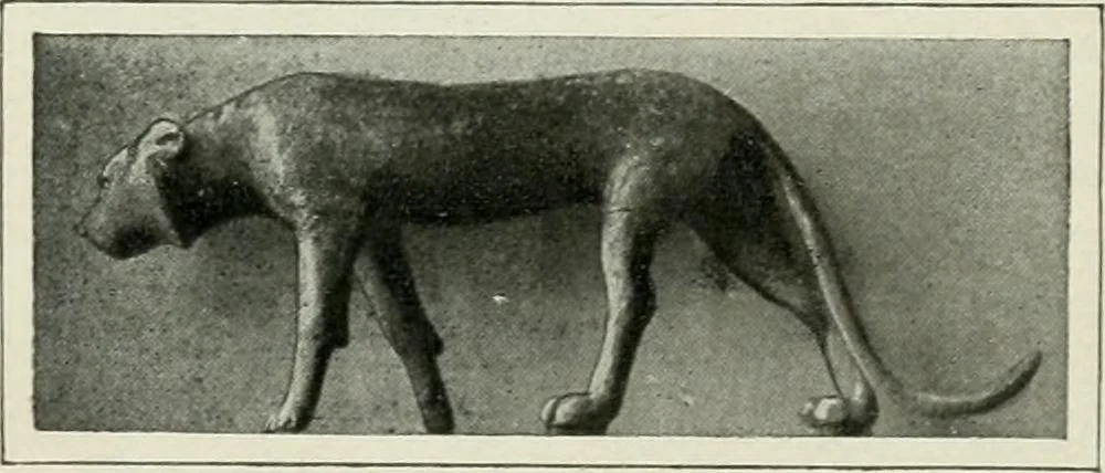 An illustration from Égypte, 1911, leaf 217