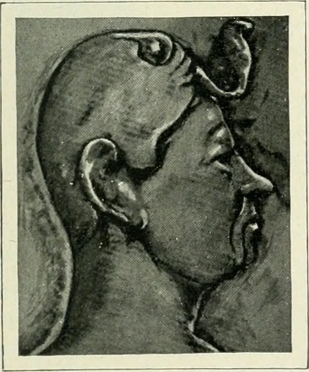 An illustration from Égypte, 1911, leaf 260