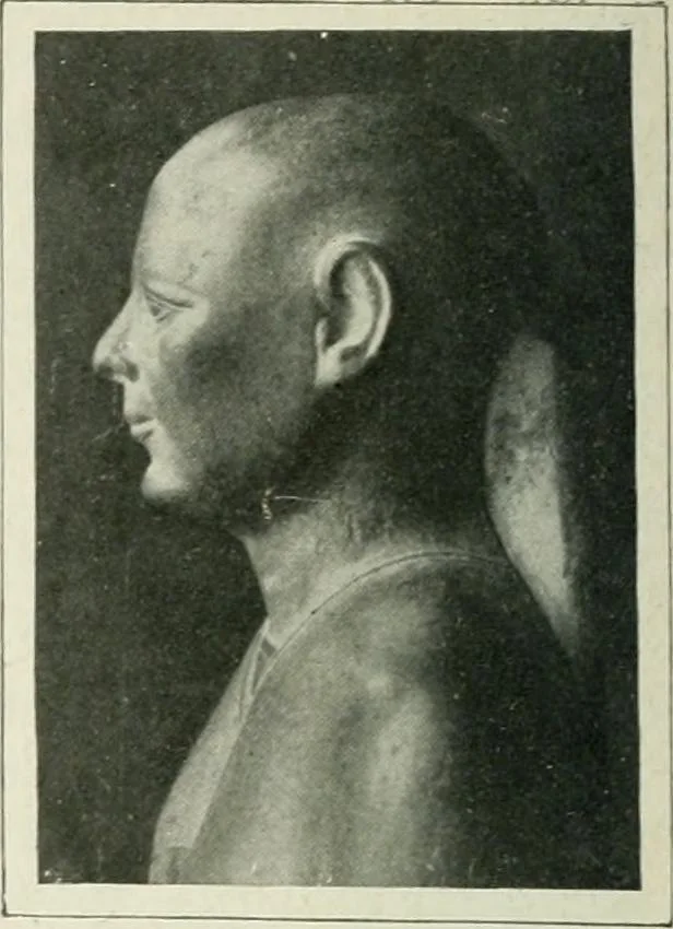 An illustration from Égypte, 1911, leaf 269