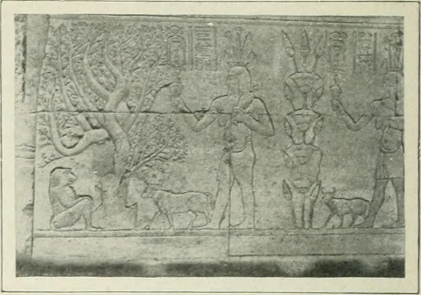 An illustration from Égypte, 1911, leaf 293