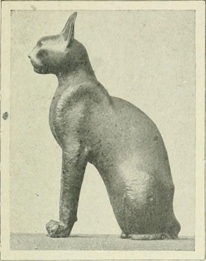 An illustration from Égypte, 1911, leaf 308