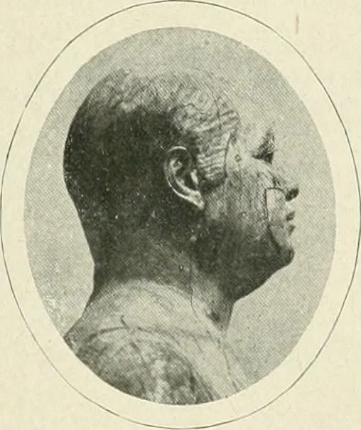 An illustration from Égypte, 1911, leaf 6