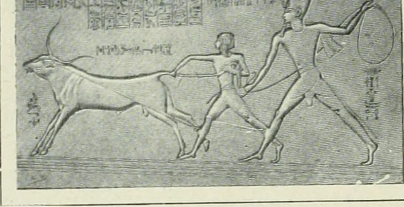 An illustration from Égypte, 1911, leaf 69