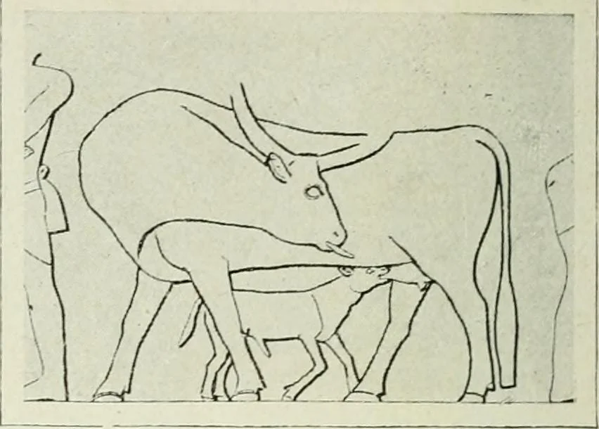 An illustration from Égypte, 1911, leaf 79