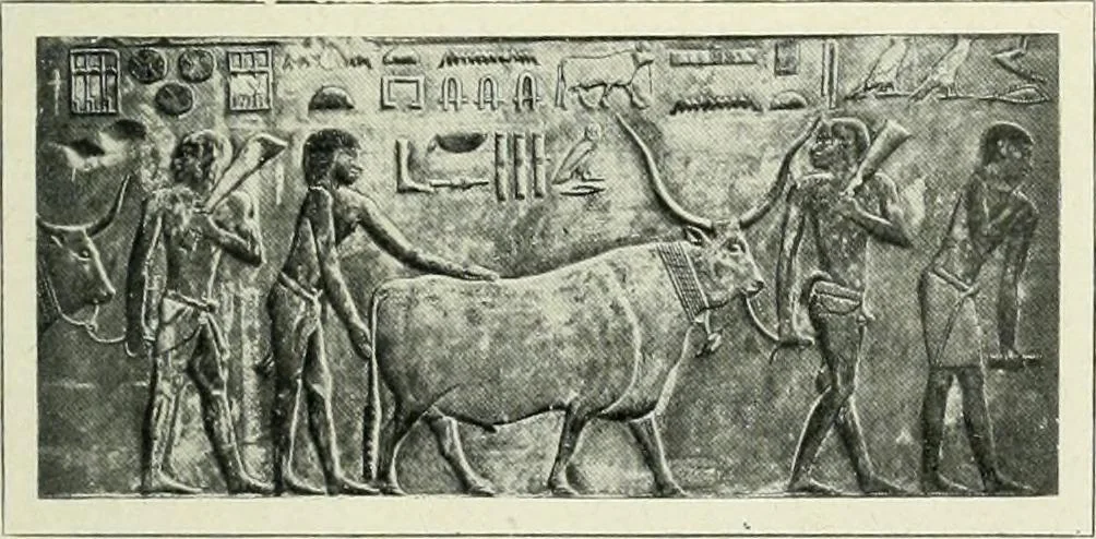 An illustration from Égypte, 1911, leaf 80