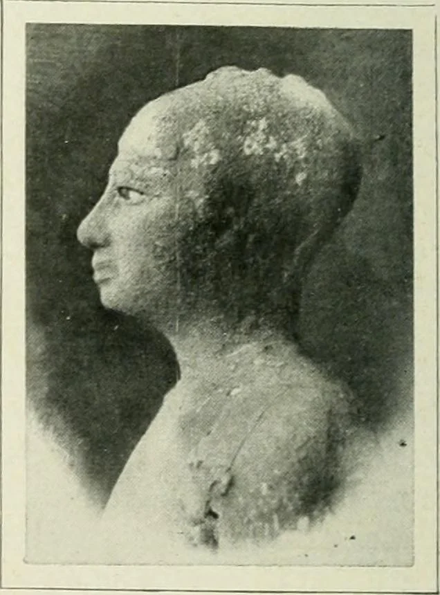 An illustration from Égypte, 1911, leaf 89