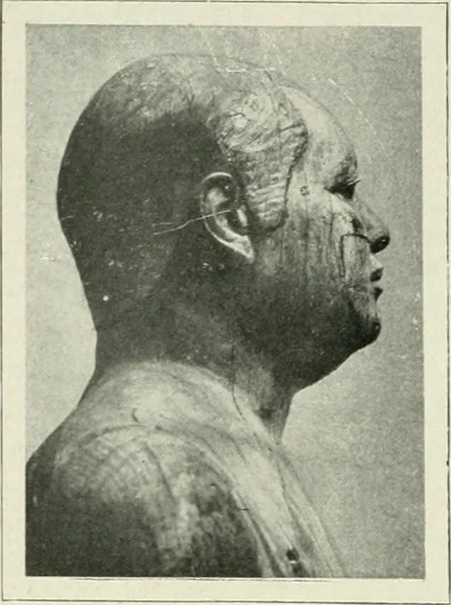 An illustration from Égypte, 1911, leaf 99