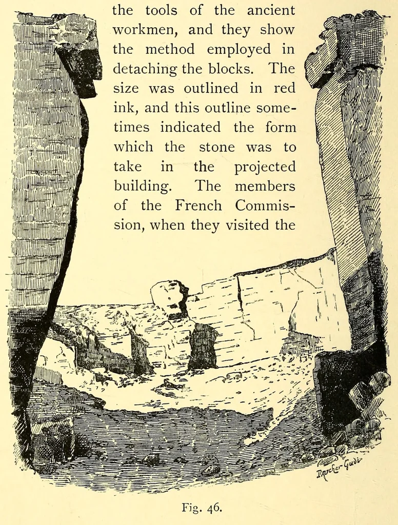 An illustration from Egyptian archeology, 1888, leaf 56