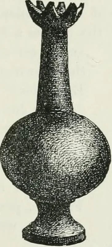 An illustration from Egyptian ceramic art : the MacGregor collection ; a contribution towards the history of Egyptian pottery, 1898, leaf 117
