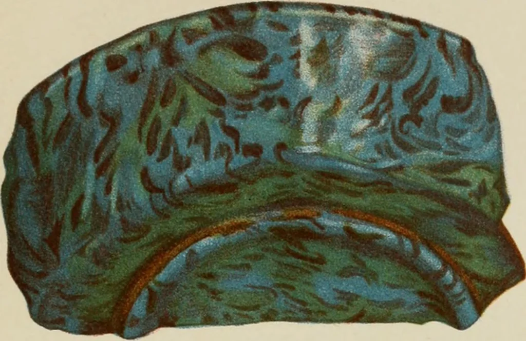 An illustration from Egyptian ceramic art : the MacGregor collection ; a contribution towards the history of Egyptian pottery, 1898, leaf 127