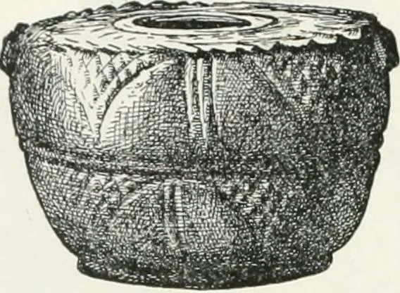 An illustration from Egyptian ceramic art : the MacGregor collection ; a contribution towards the history of Egyptian pottery, 1898, leaf 136