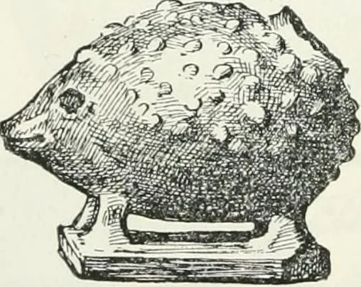 An illustration from Egyptian ceramic art : the MacGregor collection ; a contribution towards the history of Egyptian pottery, 1898, leaf 174