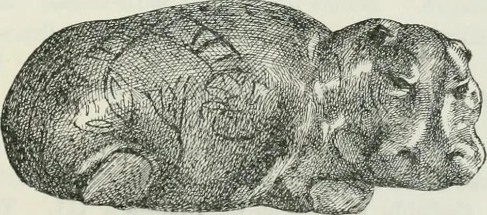 An illustration from Egyptian ceramic art : the MacGregor collection ; a contribution towards the history of Egyptian pottery, 1898, leaf 31