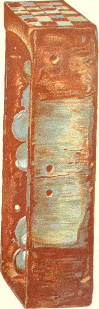 An illustration from Egyptian ceramic art : the MacGregor collection ; a contribution towards the history of Egyptian pottery, 1898, leaf 43