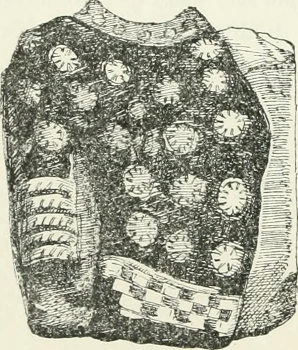 An illustration from Egyptian ceramic art : the MacGregor collection ; a contribution towards the history of Egyptian pottery, 1898, leaf 82