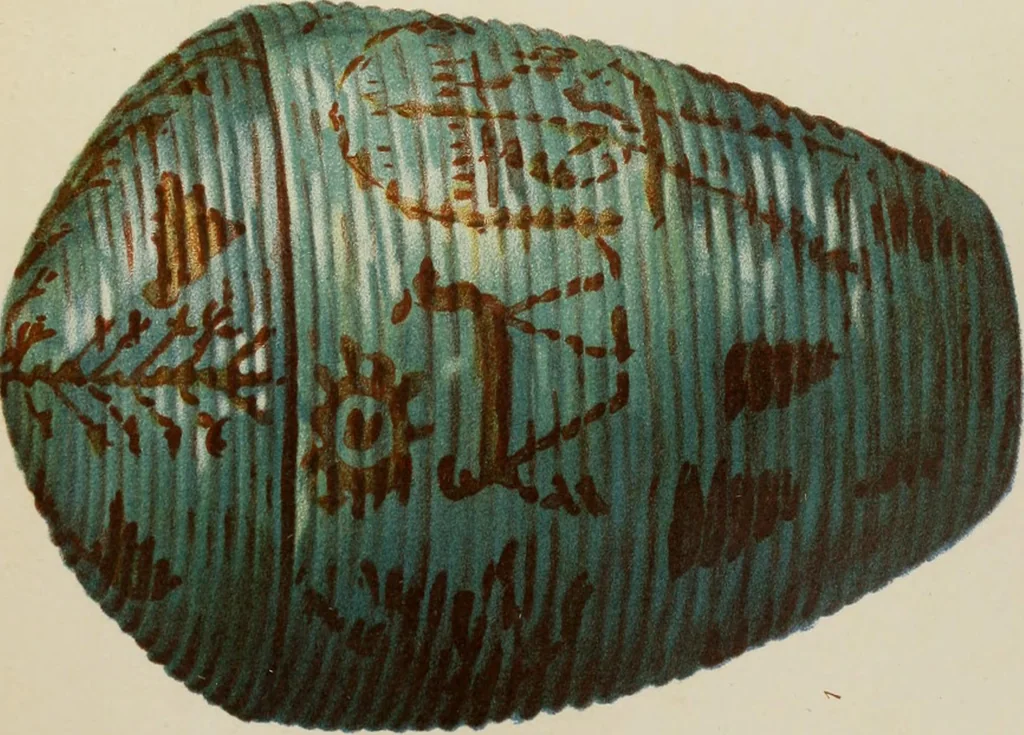 An illustration from Egyptian ceramic art : the MacGregor collection ; a contribution towards the history of Egyptian pottery, 1898, leaf 83