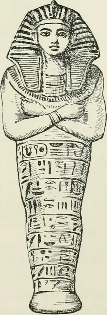 An illustration from Egyptian ceramic art : the MacGregor collection ; a contribution towards the history of Egyptian pottery, 1898, leaf 85