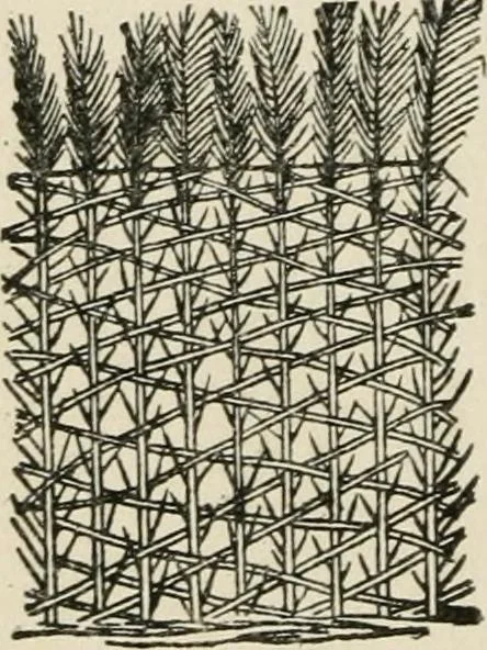 An illustration from Egyptian decorative art : a course of lectures delivered at the Royal Institution /by W.M. Flinders Petrie, 1920, leaf 113