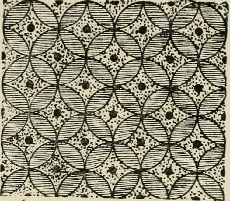 An illustration from Egyptian decorative art : a course of lectures delivered at the Royal Institution /by W.M. Flinders Petrie, 1920, leaf 63