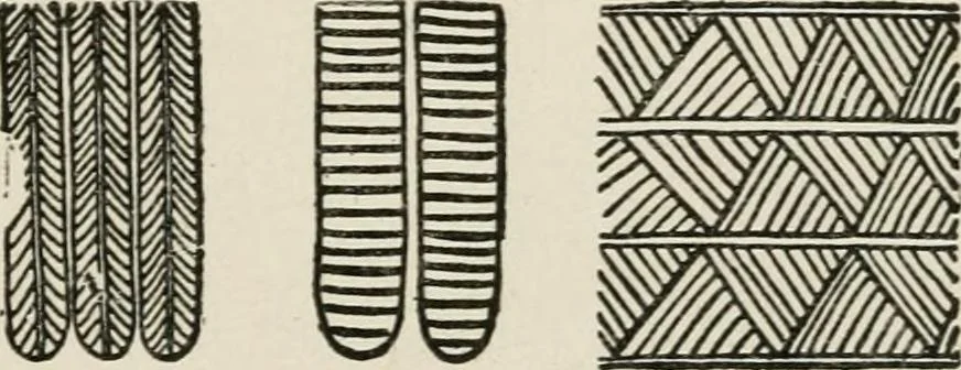 An illustration from Egyptian decorative art : a course of lectures delivered at the Royal Institution /by W.M. Flinders Petrie, 1920, leaf 66