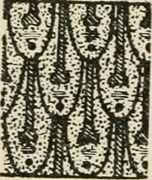 An illustration from Egyptian decorative art : a course of lectures delivered at the Royal Institution /by W.M. Flinders Petrie, 1920, leaf 69