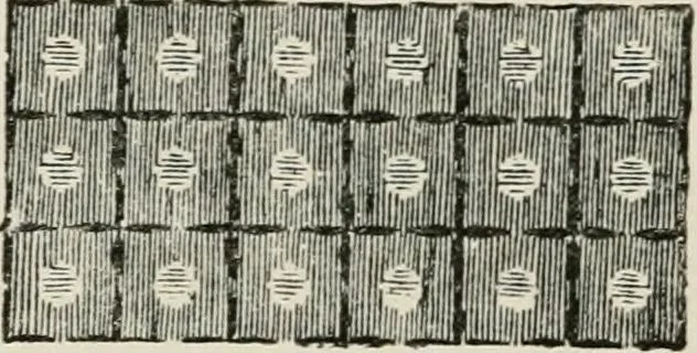 An illustration from Egyptian decorative art : a course of lectures delivered at the Royal Institution /by W.M. Flinders Petrie, 1920, leaf 72
