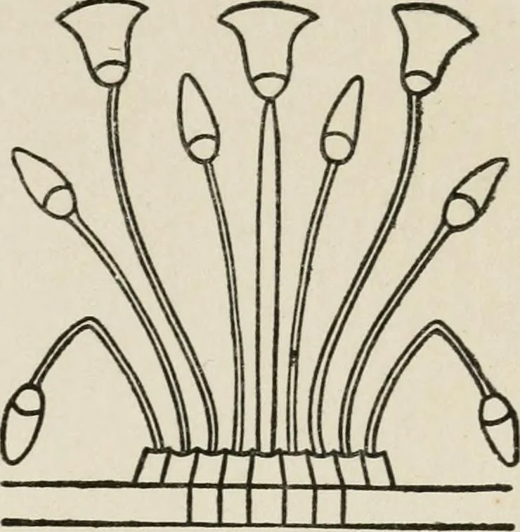 An illustration from Egyptian decorative art : a course of lectures delivered at the Royal Institution /by W.M. Flinders Petrie, 1920, leaf 82
