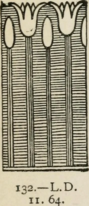 An illustration from Egyptian decorative art : a course of lectures delivered at the Royal Institution /by W.M. Flinders Petrie, 1920, leaf 82