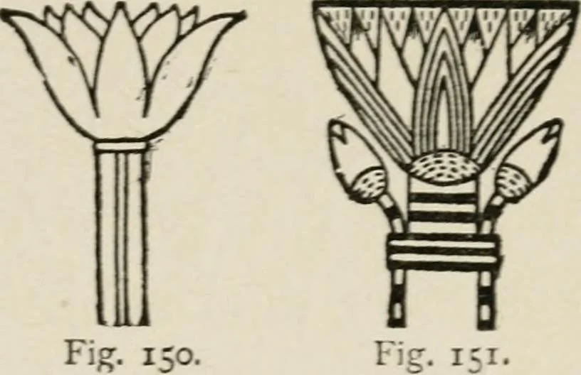 An illustration from Egyptian decorative art : a course of lectures delivered at the Royal Institution /by W.M. Flinders Petrie, 1920, leaf 92