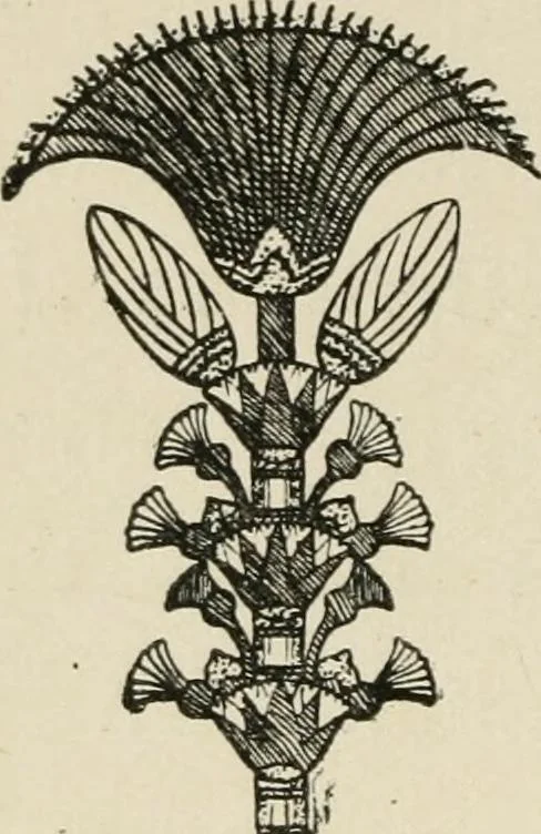 An illustration from Egyptian decorative art : a course of lectures delivered at the Royal Institution /by W.M. Flinders Petrie, 1920, leaf 97